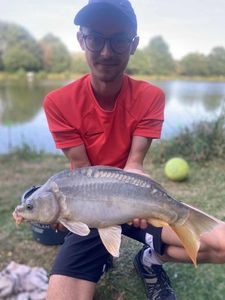Mirror Carp