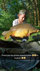 Mirror Carp