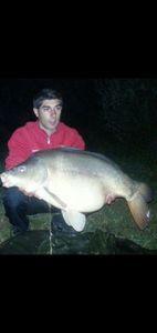 Mirror Carp