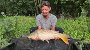 Common Carp