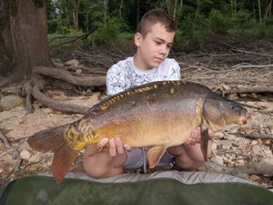 Mirror Carp