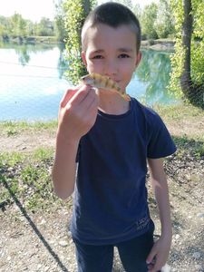 European Perch