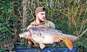 Leather Carp
