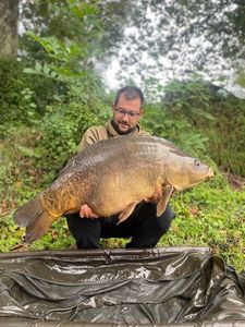 Mirror Carp