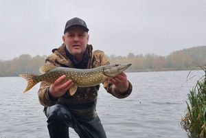 Northern Pike