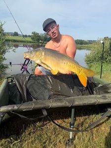 Mirror Carp