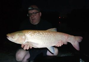 Grass Carp