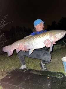 Grass Carp