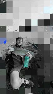 Asp