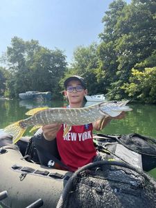 Northern Pike