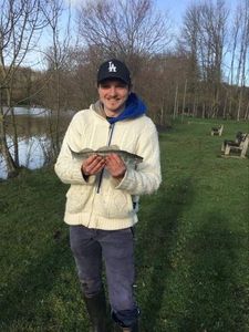 Zander