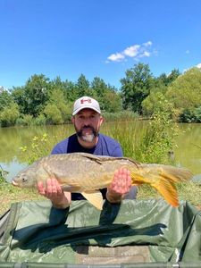 Mirror Carp