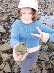 Green Ormer