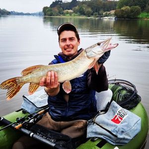 Northern Pike