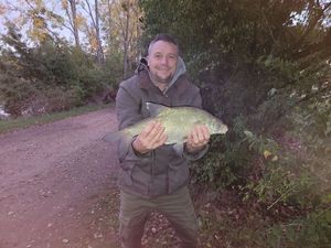 Common Bream