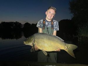 Mirror Carp