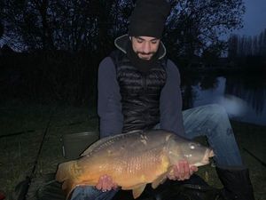 Mirror Carp