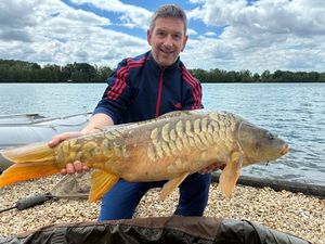 Mirror Carp