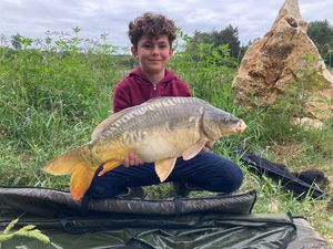 Mirror Carp