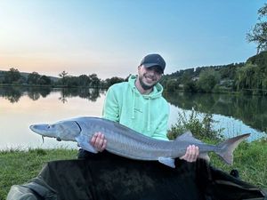 Sturgeon