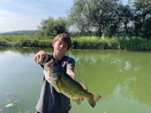 Largemouth Bass
