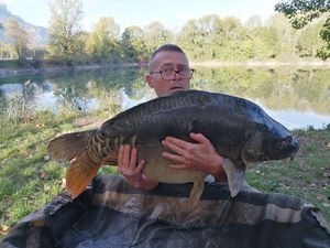 Mirror Carp