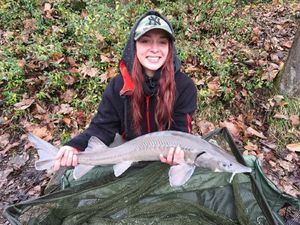 Sturgeon