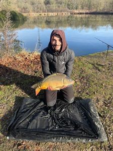 Mirror Carp
