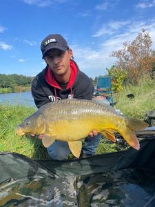 Mirror Carp