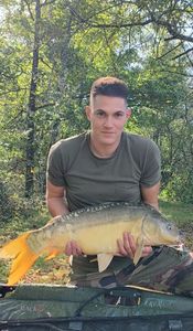 Mirror Carp