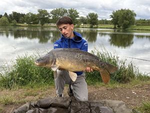 Common Carp