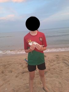 Black Seabream
