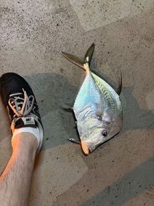 Lookdown