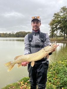 Northern Pike