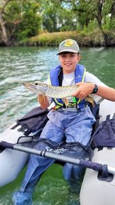 Northern Pike