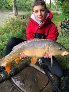 Mirror Carp