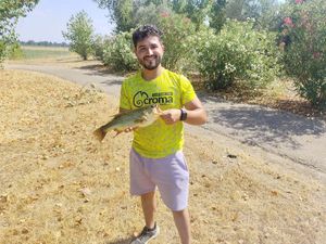 Largemouth Bass