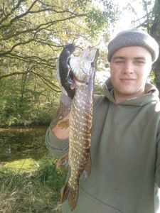 Northern Pike