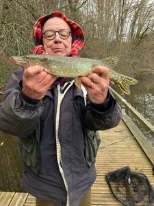 Northern Pike