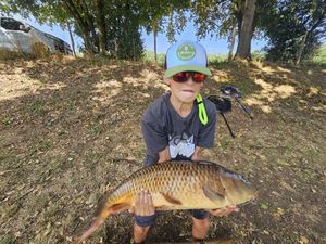 Common Carp