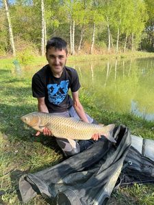Grass Carp