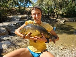 Mirror Carp