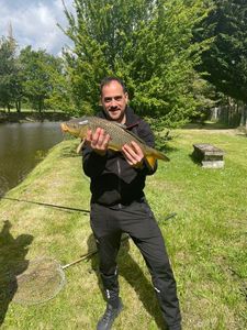Common Carp