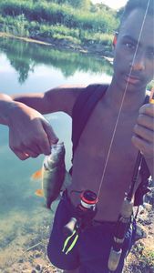 European Perch