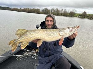 Northern Pike