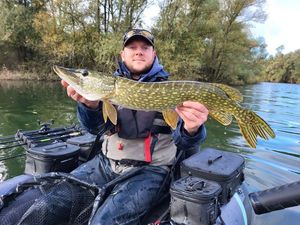 Northern Pike