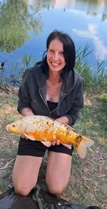 Koï Fish