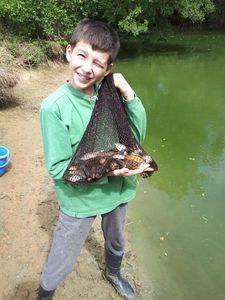 Prussian Carp
