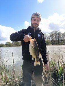 Largemouth Bass