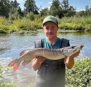 Northern Pike
